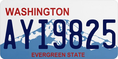WA license plate AYI9825