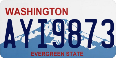 WA license plate AYI9873