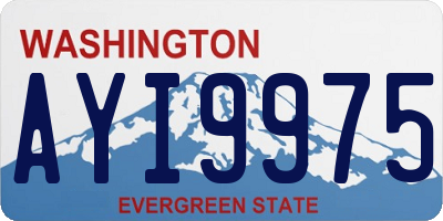 WA license plate AYI9975