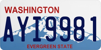 WA license plate AYI9981