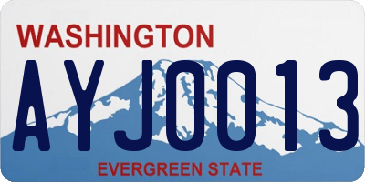 WA license plate AYJ0013