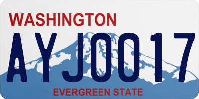 WA license plate AYJ0017
