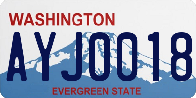 WA license plate AYJ0018