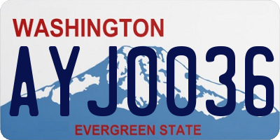 WA license plate AYJ0036