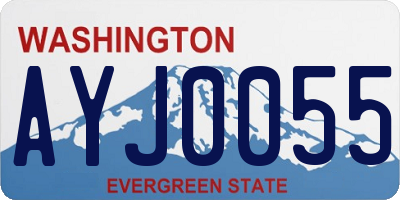WA license plate AYJ0055