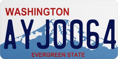 WA license plate AYJ0064