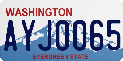 WA license plate AYJ0065