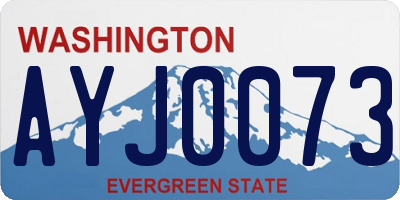 WA license plate AYJ0073