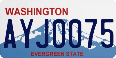 WA license plate AYJ0075