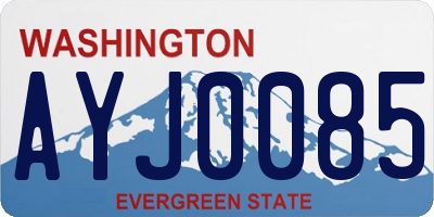 WA license plate AYJ0085