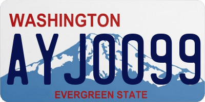 WA license plate AYJ0099
