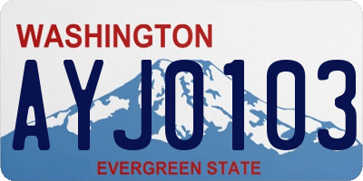 WA license plate AYJ0103