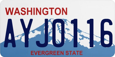 WA license plate AYJ0116