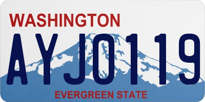 WA license plate AYJ0119