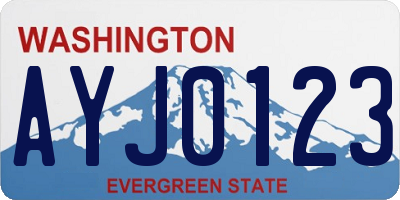 WA license plate AYJ0123