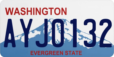 WA license plate AYJ0132