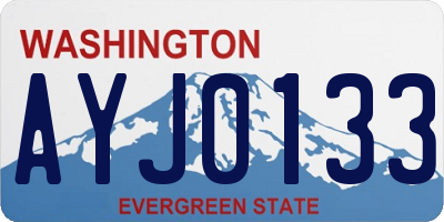 WA license plate AYJ0133