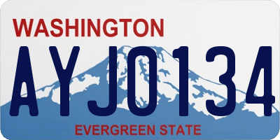 WA license plate AYJ0134