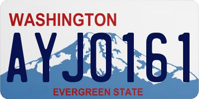 WA license plate AYJ0161