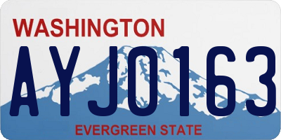 WA license plate AYJ0163