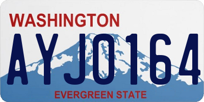 WA license plate AYJ0164