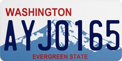 WA license plate AYJ0165
