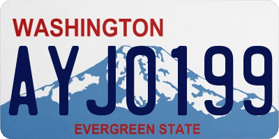 WA license plate AYJ0199