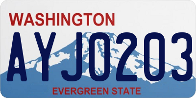 WA license plate AYJ0203
