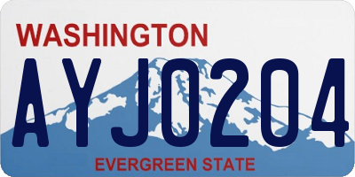 WA license plate AYJ0204