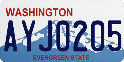 WA license plate AYJ0205