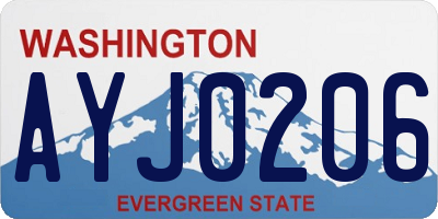 WA license plate AYJ0206