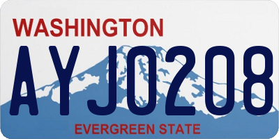 WA license plate AYJ0208