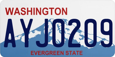 WA license plate AYJ0209