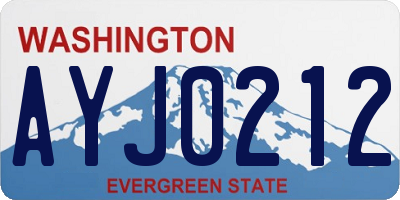 WA license plate AYJ0212