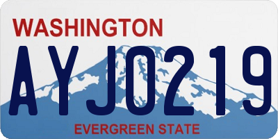 WA license plate AYJ0219