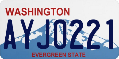 WA license plate AYJ0221