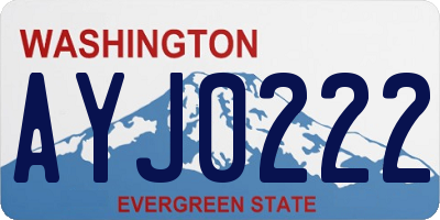 WA license plate AYJ0222