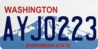 WA license plate AYJ0223