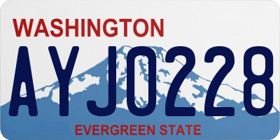 WA license plate AYJ0228