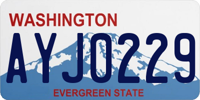 WA license plate AYJ0229