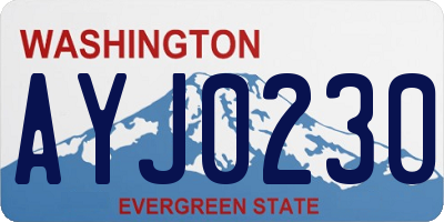 WA license plate AYJ0230