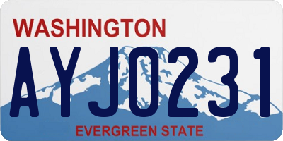 WA license plate AYJ0231