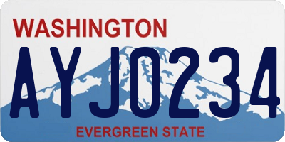 WA license plate AYJ0234