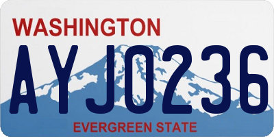 WA license plate AYJ0236