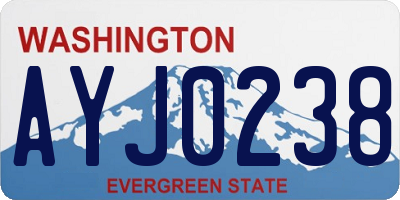 WA license plate AYJ0238