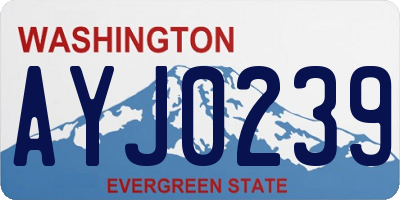 WA license plate AYJ0239