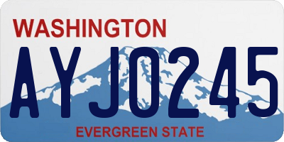 WA license plate AYJ0245