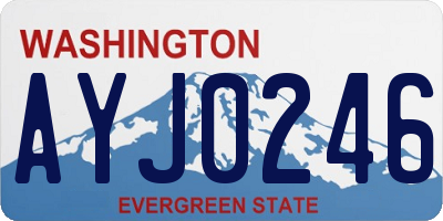 WA license plate AYJ0246