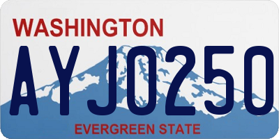 WA license plate AYJ0250