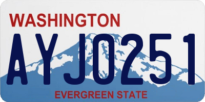 WA license plate AYJ0251